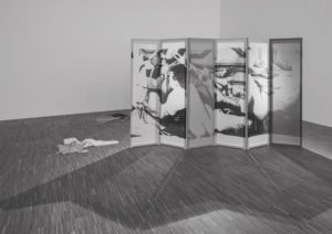 © Andrew Phelps, Salzburger Kunstverein