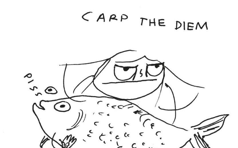 Illustration: Ruby Elliot rubyetc.tumblr.com